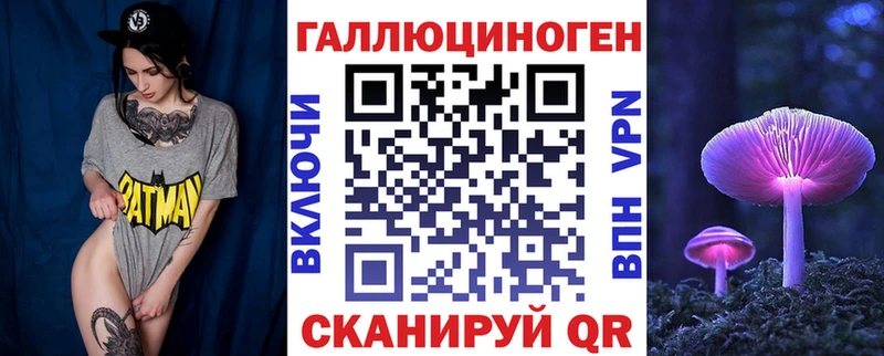darknet наркотические препараты  omg ONION  Псилоцибиновые грибы Cubensis  Ардатов  где продают наркотики 