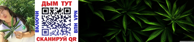 цены Ардатов Канабис OG Kush